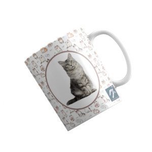 Caneca Pet - Gatinho Cinza