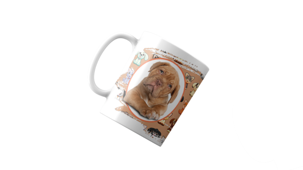 Cachorro Dogue-de-Bordéus