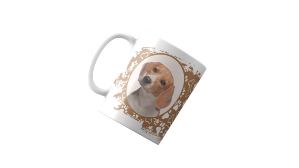 Cachorro Beagle