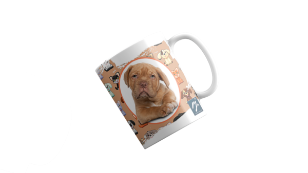 Cachorro Dogue-de-Bordéus